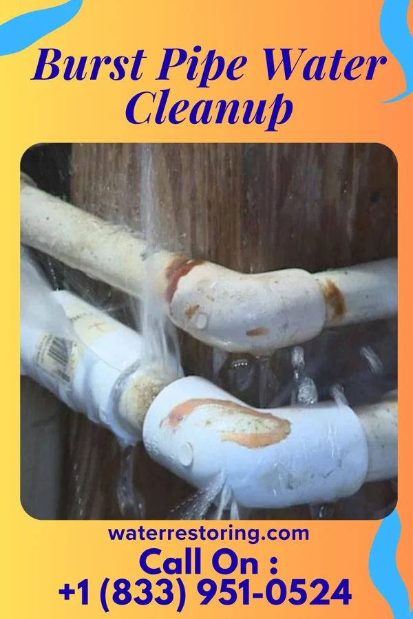 Burst Pipe Water Cleanup in Springville, NY