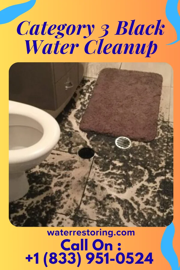 Category 3 Black Water Cleanup in Springville, NY
