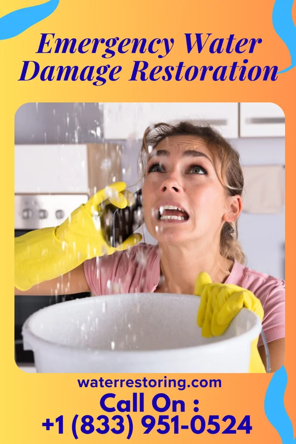 Emergency Water Damage Restoration in Springville, NY