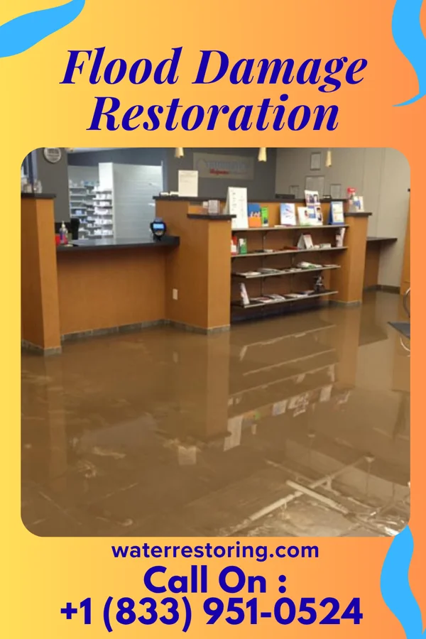 Flood Damage Restoration in Springville, NY
