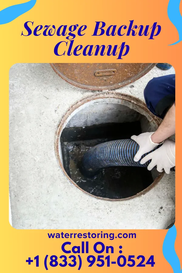 Sewage Backup Cleanup in Springville, NY