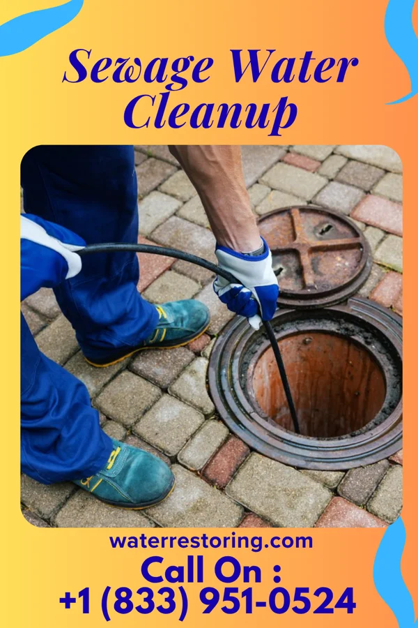 Sewage Water Cleanup in Springville, NY